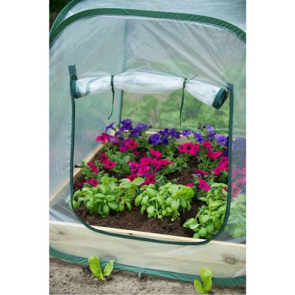 Serre de jardin Pop-Up - NATURE - 100x100x100 cm - PE transparent - Protection anti-UV - Image 3