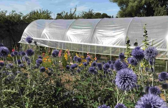 Serre tunnel de jardin - 38m² - 3,7 x 10,5 m - pieds arrondis - polyéthylène haute densité - aérations latérales - LES SERRES TONNEAU - Image 1