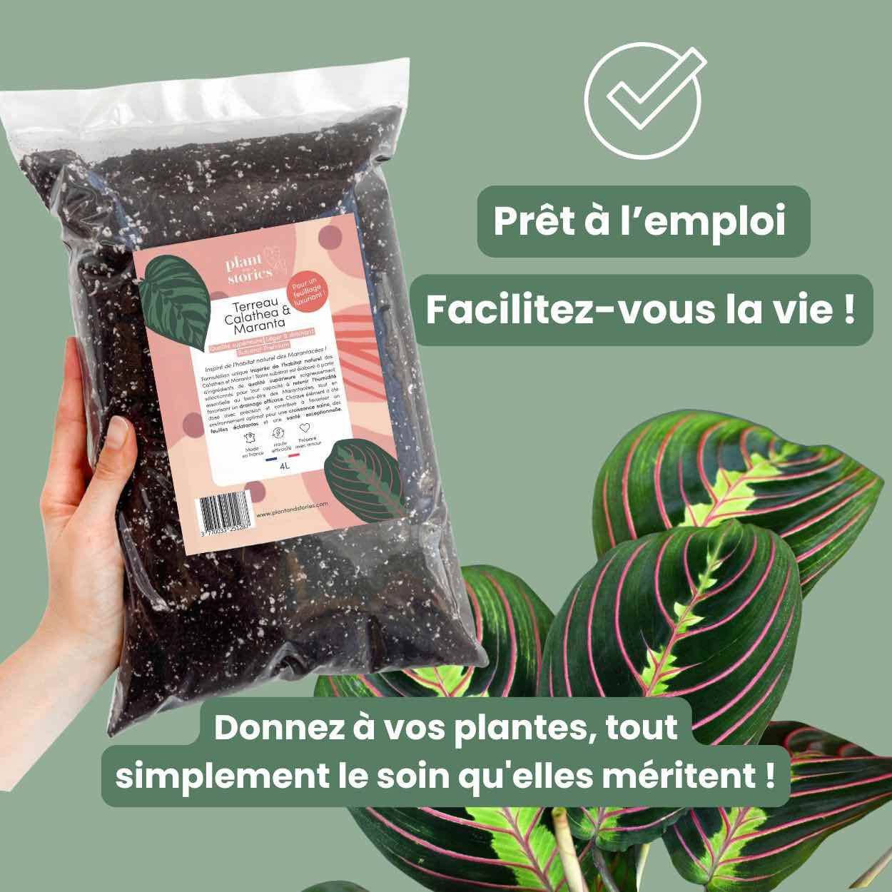 Terreau Calathea & Maranta Premium - Enrichi en Mycorhize et Bacillus - Fabriqué en France - Image 8