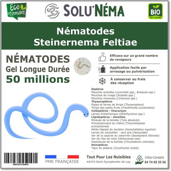 SOLUNEMA - Nématodes Steinernema Feltiae (SF) - 50 Millions - Image 1