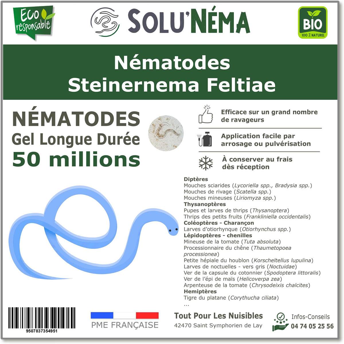 SOLUNEMA - Nématodes Steinernema Feltiae (SF) - 50 Millions - Image 1