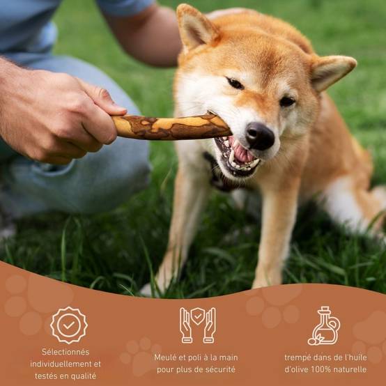 Wildfang - Wildfang - Forfait « Mâcher Plaisir » - Pour chiens de toutes tailles - Image 10
