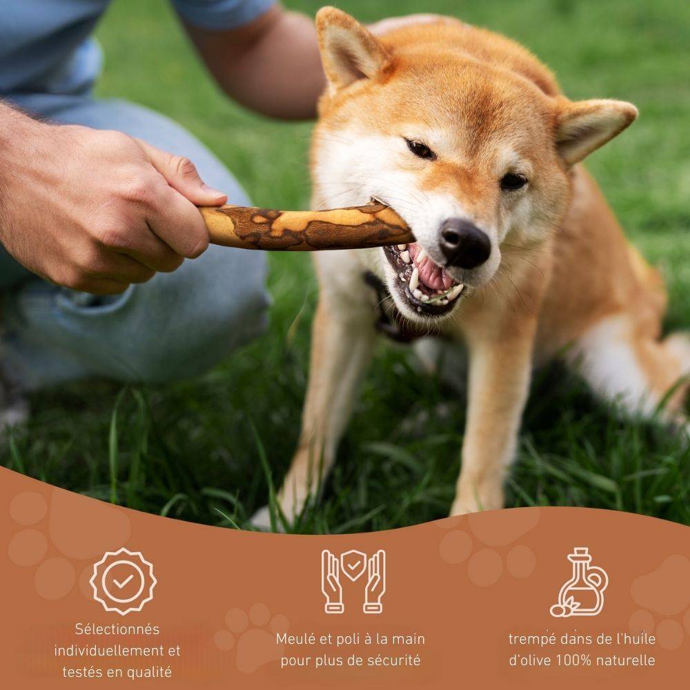 Wildfang - Wildfang - Forfait « Mâcher Plaisir » - Pour chiens de toutes tailles - Image 10