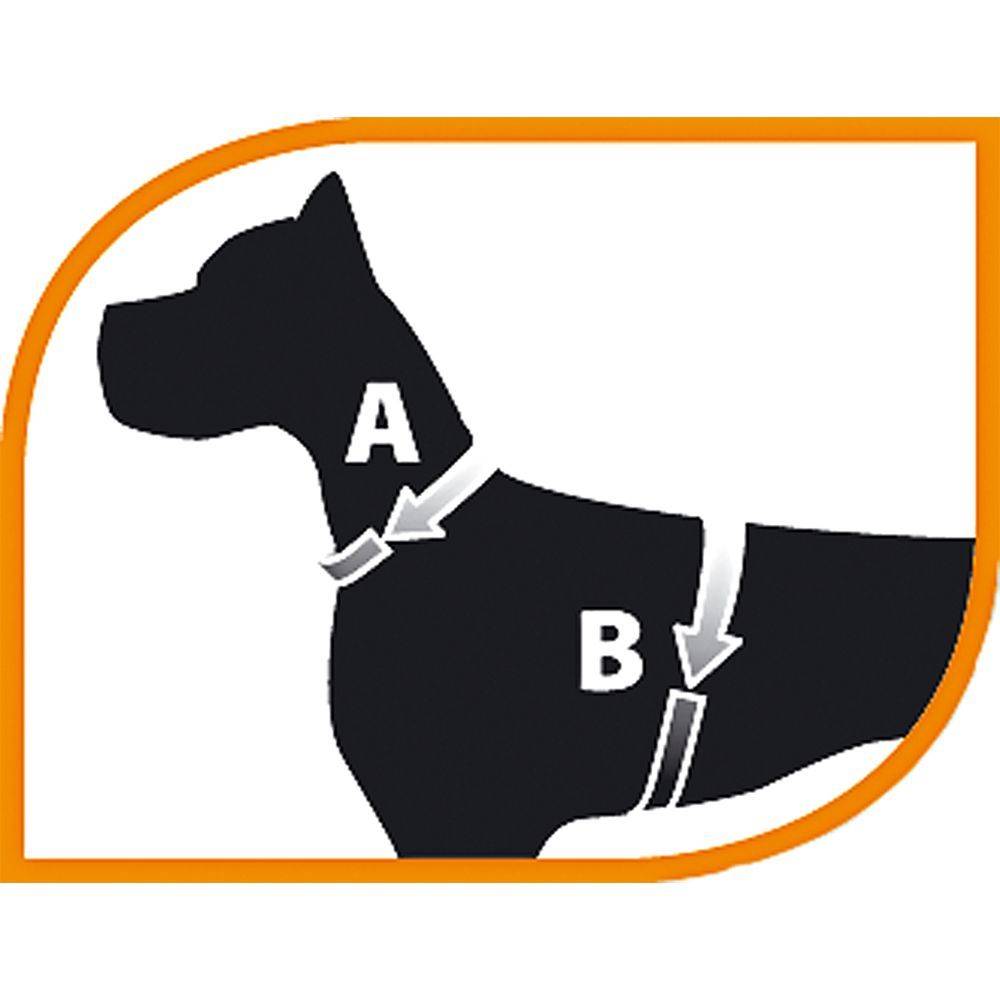 Ferplast - Ferplast Harnais Chien Grande Taille KAORI L, Harnais pour Chien Respirant, Rembourré et Ajustable, Facile à Porter, Bords Réfléchissants, Poitrine - Image 2