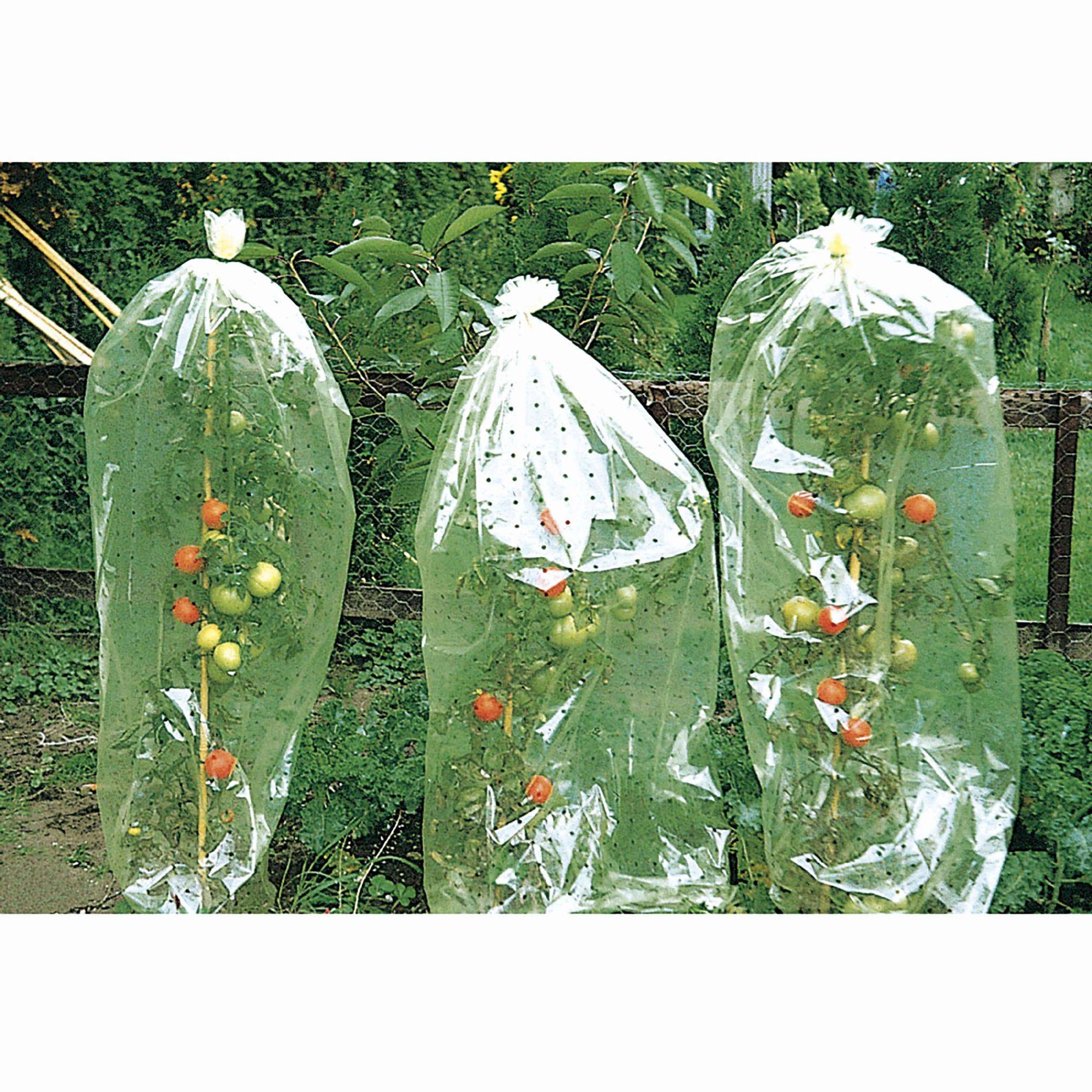Windhager - Housse perforée pour tomates - Image 2