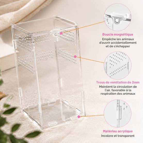Boîte d'élevage pour animaux rampants transparentes antiéchappement ventilation portable - Image 3