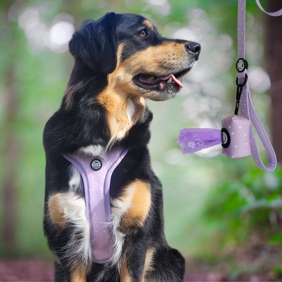 Harnais Premium pour chien confortable – Lilas – On se la Pet - Image 6