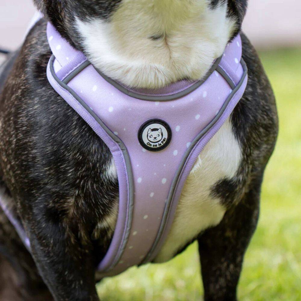 Harnais Premium pour chien confortable – Lilas – On se la Pet - Image 2