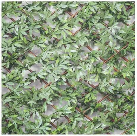 Treillis feuilles de vigne vierge , Long 4 m, Hauteur 1 m - Image 2
