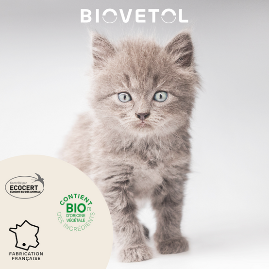 Pipettes pour chat ou chaton BIOVETOL : 3 x 1ml BIOVETOL - Image 4