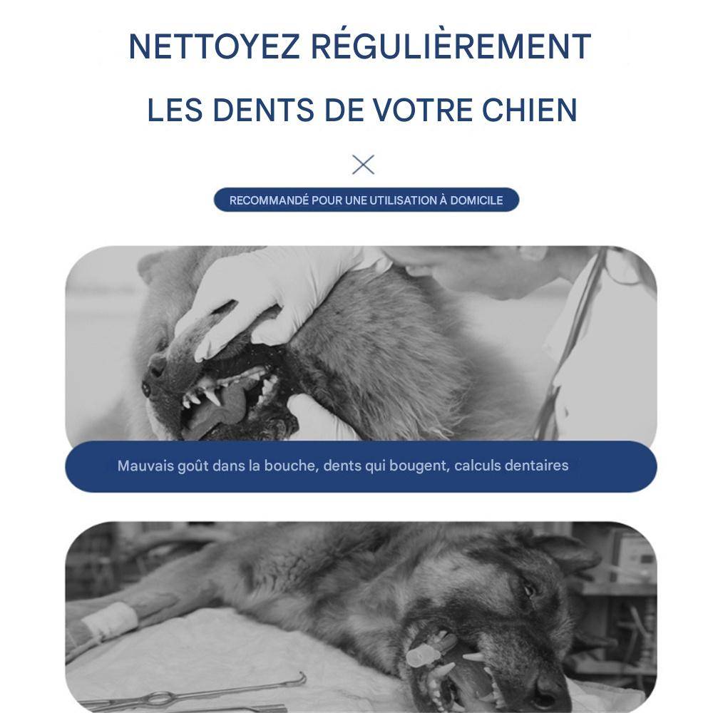 DtopbuyAge - Brosse à dents à ultrasons pour nettoyer le tartre dentaire DtopbuyAge - Image 4
