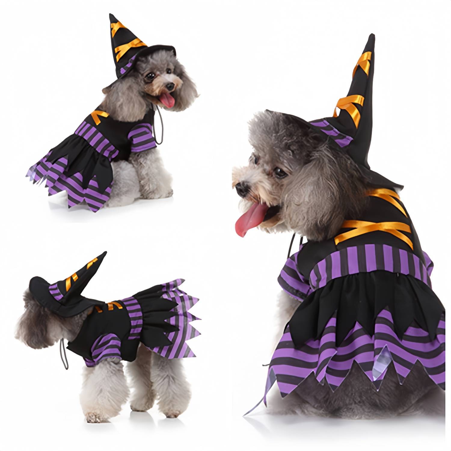 DtopbuyAge - Déguisement Sorcière pour Petit Chien XL DtopbuyAge - Image 1