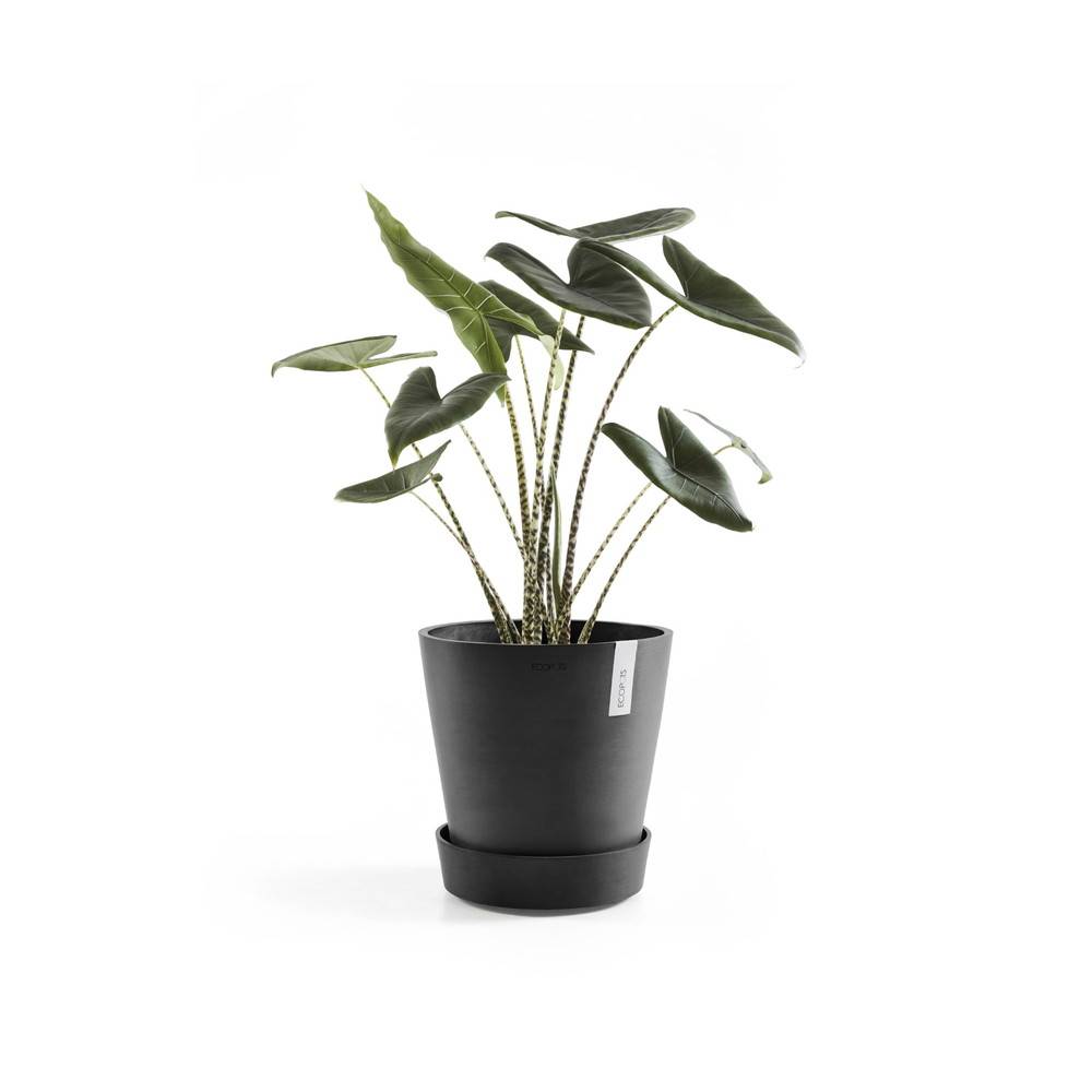 Ecopots - Support à roulettes Wheels 40 Gris Foncé - Ø 34,1 x H. 9 cm ECOPOTS - Image 3