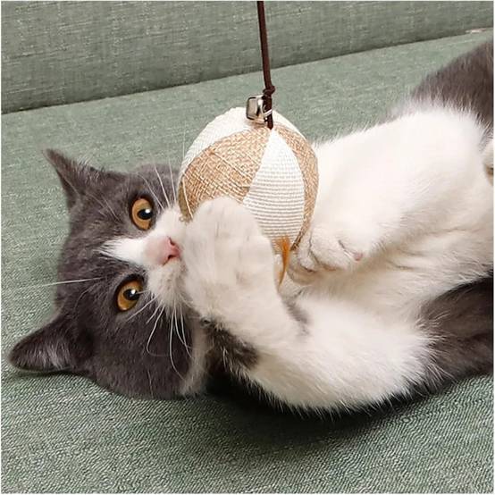 Kit 3 jouets à plume pour chat - Baguette interactive 40cm - Stimulation ludique - Living123 - Image 2