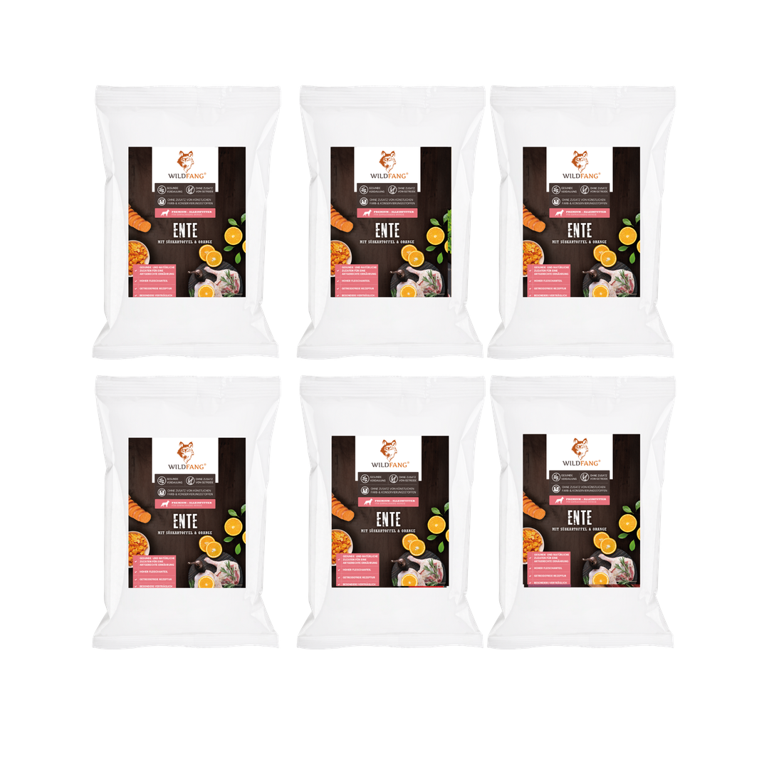 Wildfang - Wildfang — Ensemble d'essai pour adultes aliments secs - grain-sans - 6 x Canard - Image 1