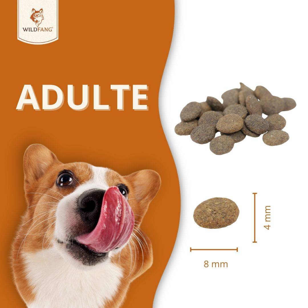 Wildfang - Wildfang — Ensemble d'essai pour adultes aliments secs - grain-sans - 6 x Canard - Image 5