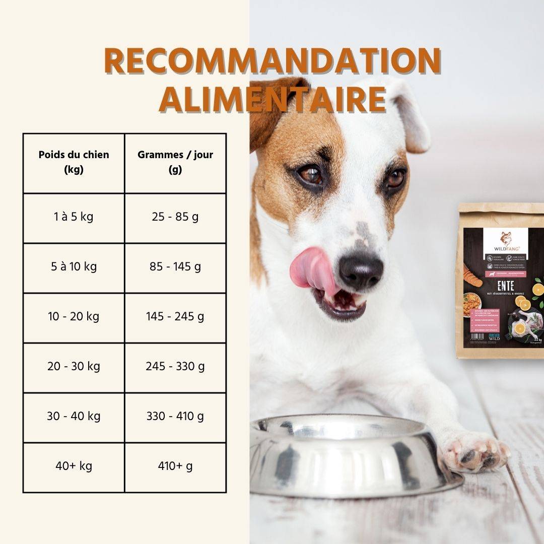 Wildfang - Wildfang — Ensemble d'essai pour adultes aliments secs - grain-sans - 6 x Canard - Image 7