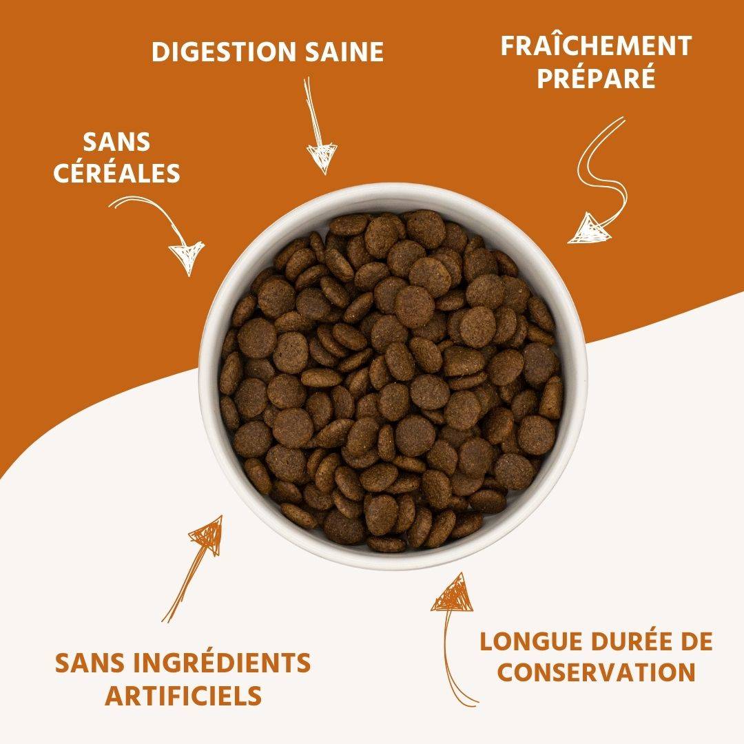 Wildfang - Wildfang — Ensemble d'essai pour adultes aliments secs - grain-sans - 6 x Canard - Image 3