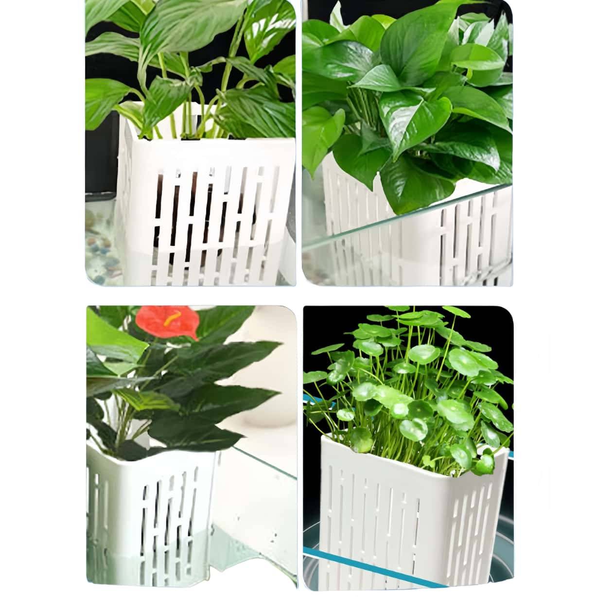 DtopbuyAge - 2 supports suspendus pour plantes DtopbuyAge d aquarium robustes blanc DtopbuyAge - Image 4