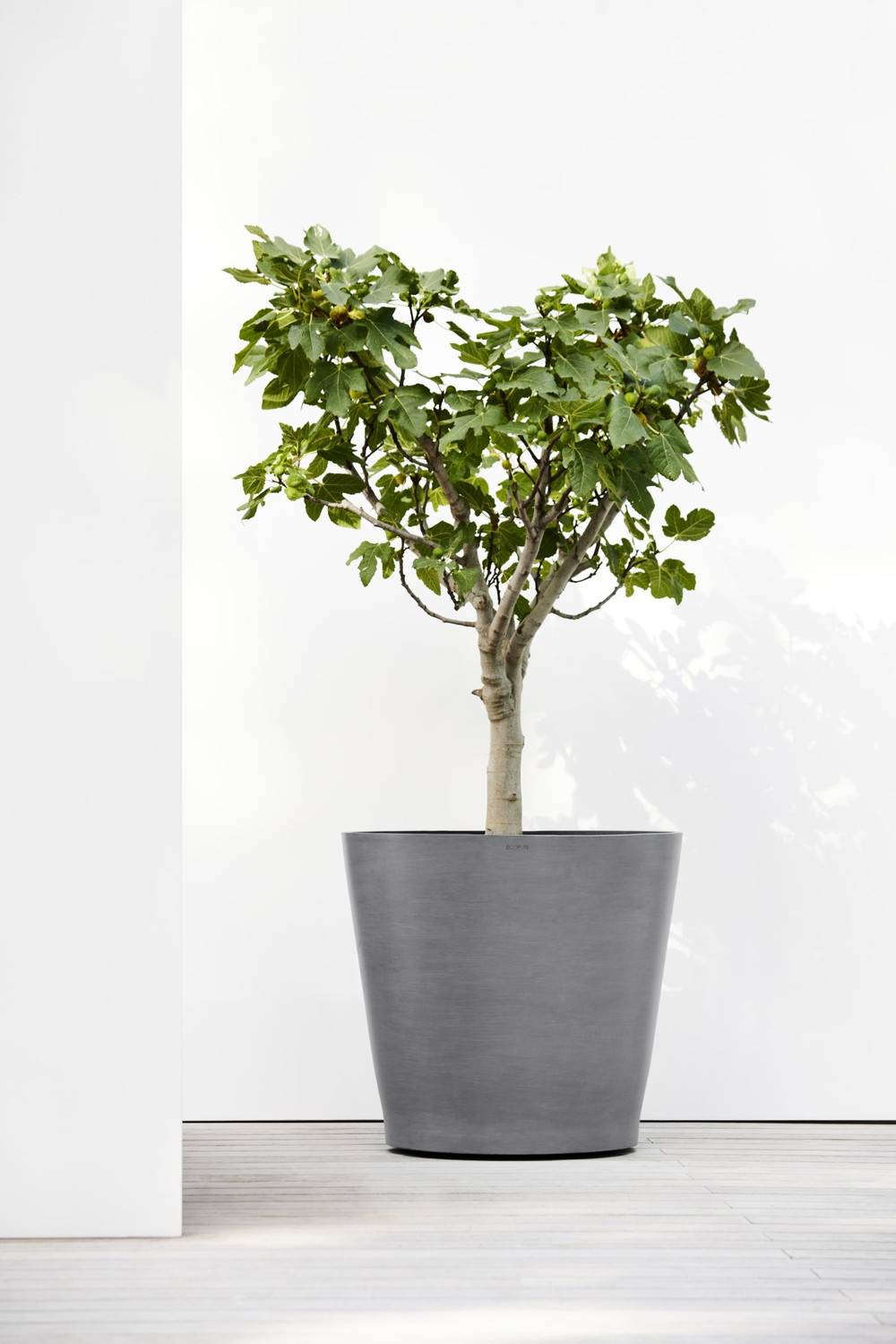 Ecopots - Grand pot sur roues Amsterdam 80 Gris - Ø 80 x H. 75 cm - 300 L ECOPOTS - Image 3