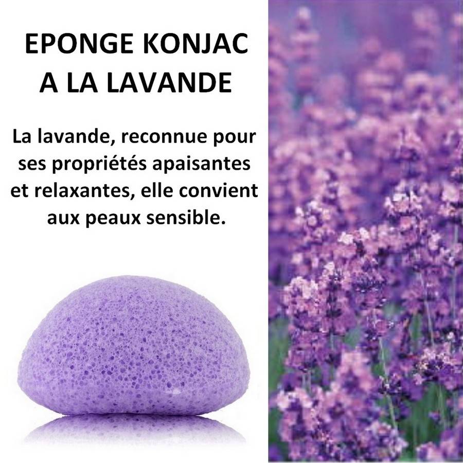 Sun&Sia - Éponge Konjac 100% Naturelle à la Lavande, Nettoie en Profondeur et en Douceur, Soin du Visage Naturel, Tous Types de Peau