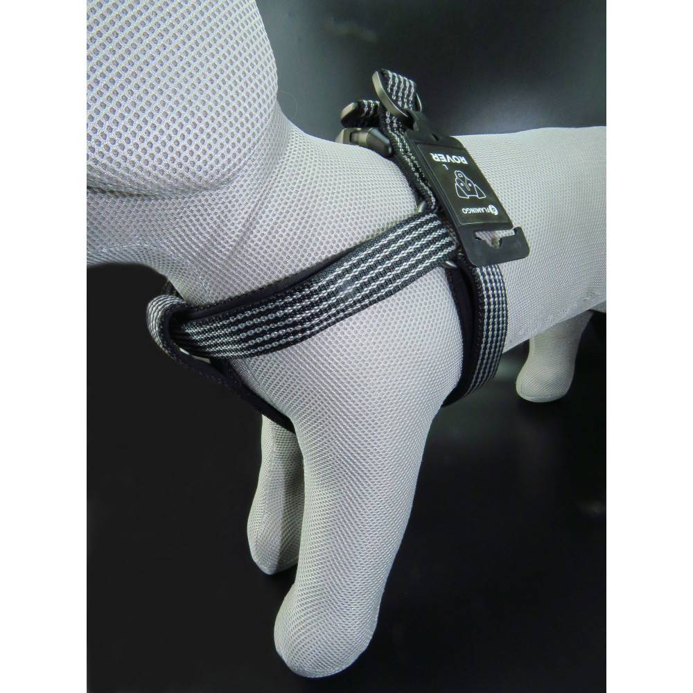 Flamingo - Harnais Jannu XS 20-35 cm 15 mm noir pour chien - Image 4