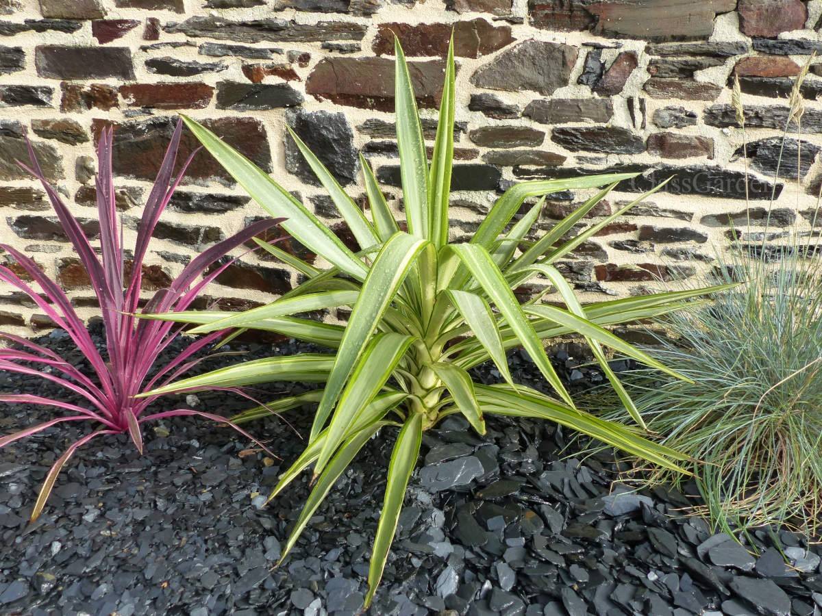 ClassGarden - Paillage Ardoise NOIR 10-40 sac 25 Kg - Image 3