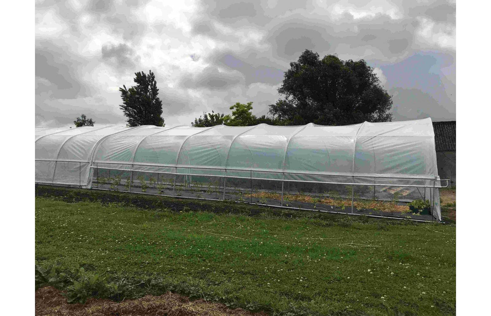 Serre de jardin - 60m² - 5 x 12m - pied droit 1,20m - polyéthylène haute densité - 1 porte pivotante - aérations latérales - LES SERRES TONNEAU - Image 4