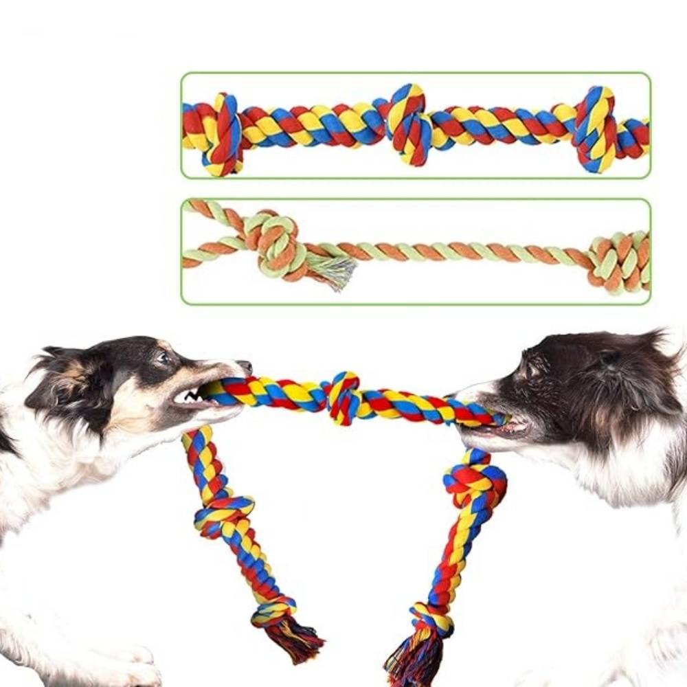 IntiMeg - Ensemble de jouets pour chien 9 pièces IntiMeg - Image 4