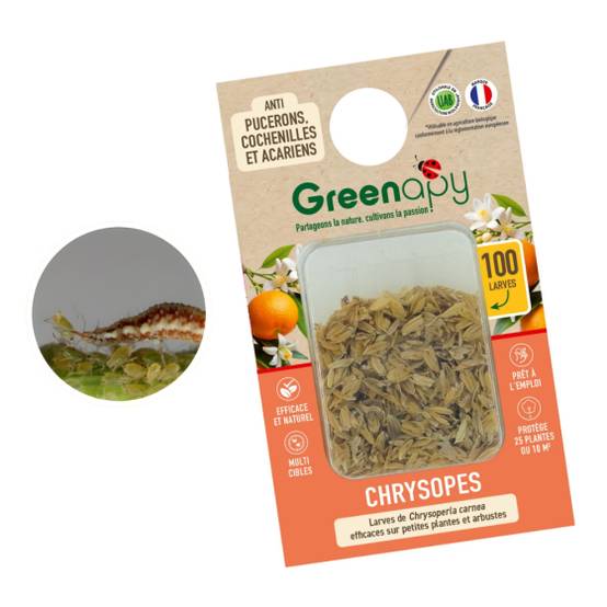 Biotop - Biotop - 100 larves chrysopes anti-pucerons, cochenilles et acariens - Image 3