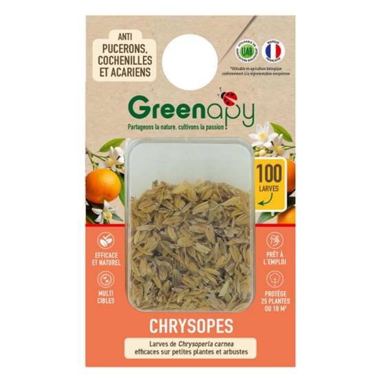 Biotop - Biotop - 100 larves chrysopes anti-pucerons, cochenilles et acariens - Image 1