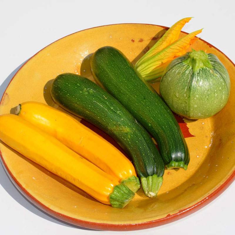 Engrais tomates et légumes du soleil - Agro Sens - Seau 4 kg - Image 8