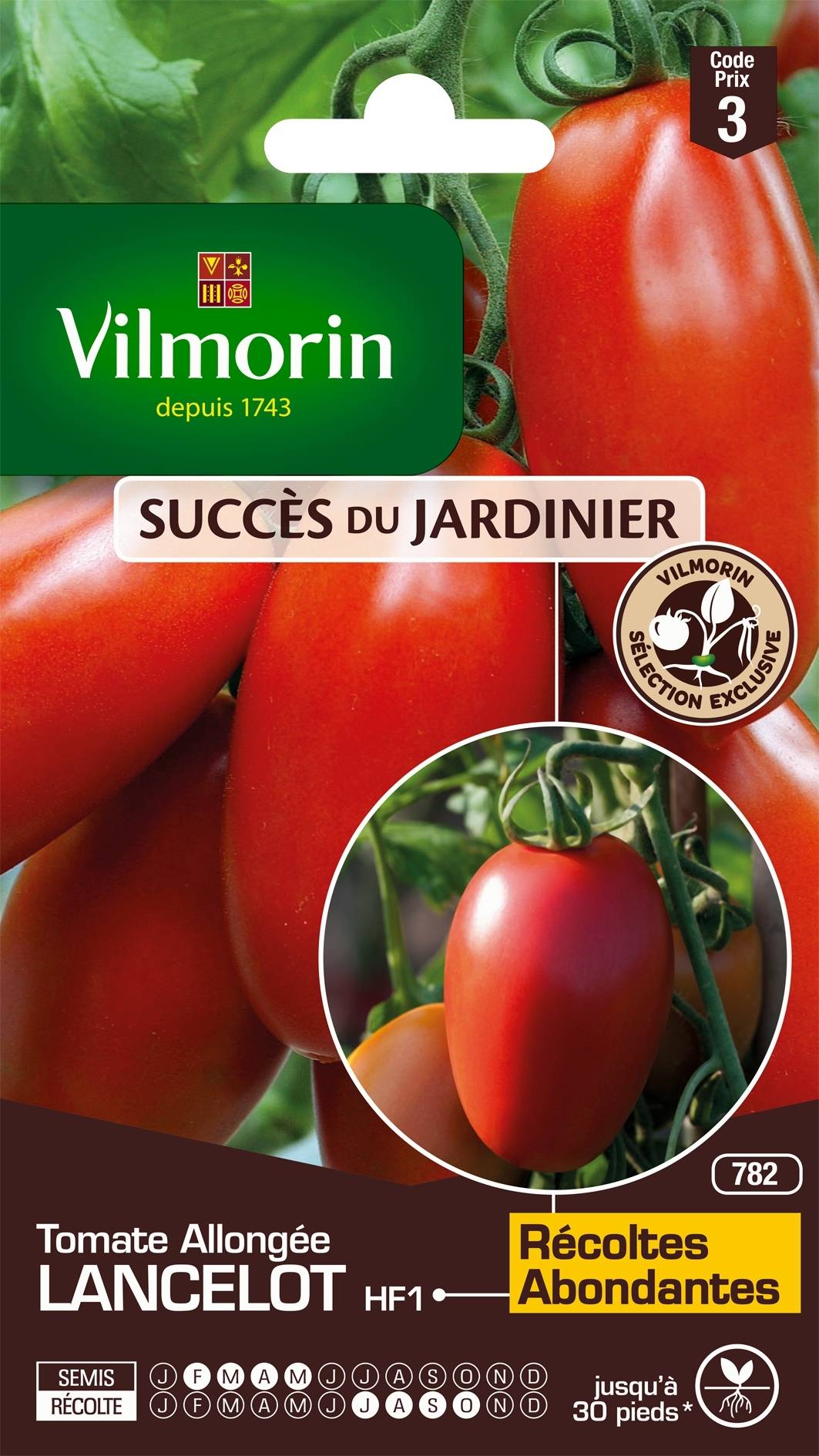 Tomate Lancelot F1 - Vilmorin Graines