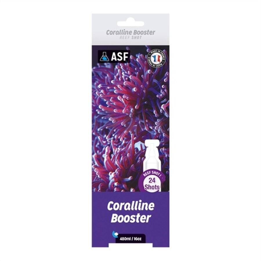 Reef Shots Coralline Booster 24 x 20 ml - AQUARIUM SYSTEMS - Gamm vert
