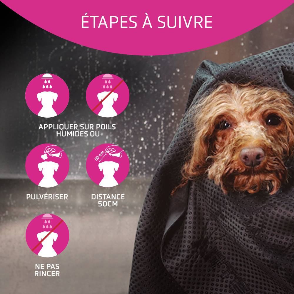 Artero Flash. Après-shampoing et spray rehausseur de brillance pour chiens et chats - Image 4