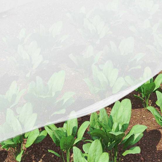 Filet Anti-insectes Polyéthylène pour Jardin Protection Cultures Blanc 2 x 5 m - ComfortXL Outdoor Living - Image 5