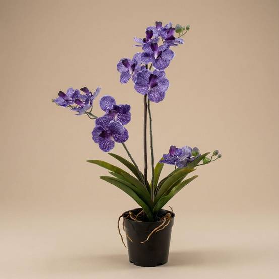 PANGIVO - Orchidée artificielle plastique violet 15 x 15 x 60 cm - PANGIVO - Image 1