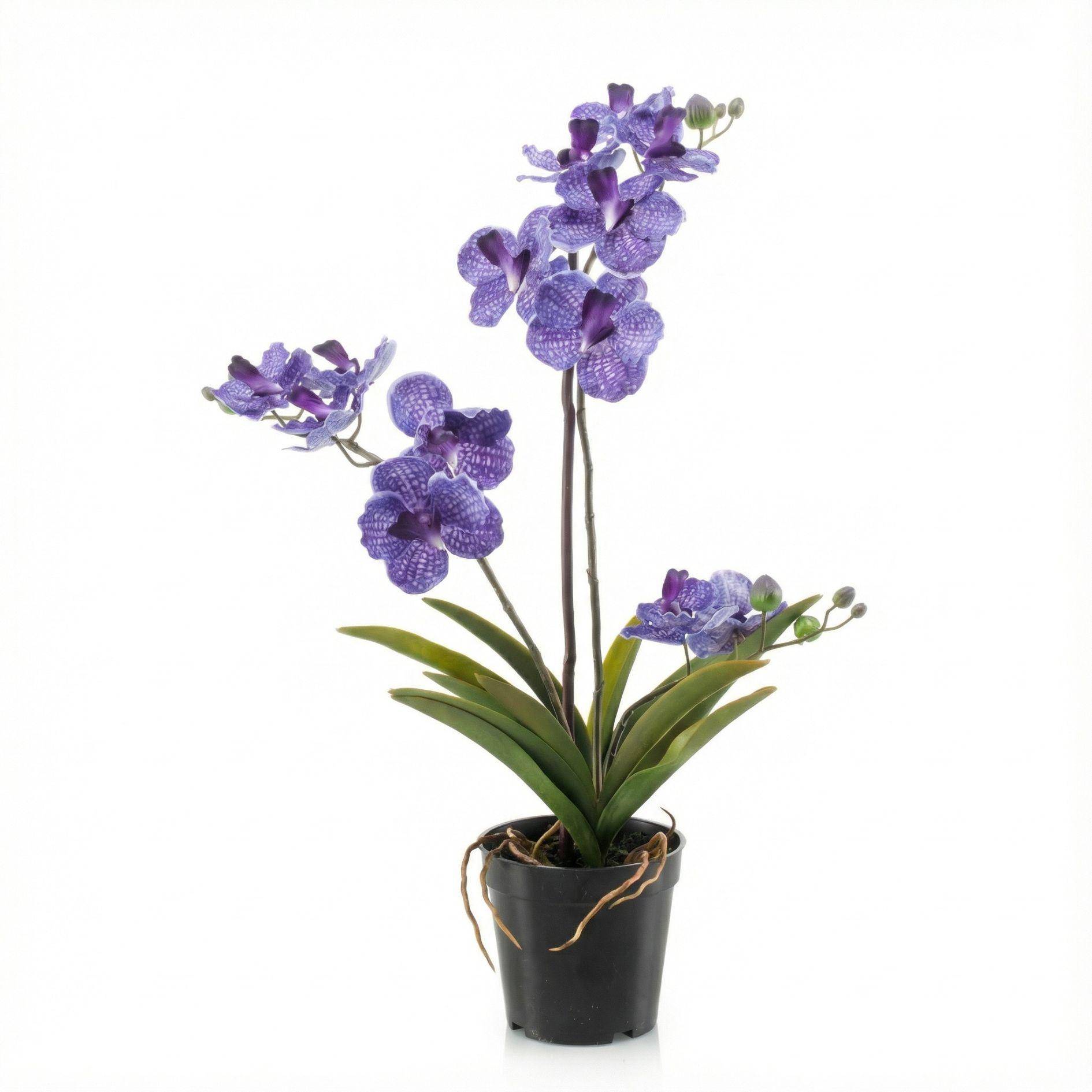 PANGIVO - Orchidée artificielle plastique violet 15 x 15 x 60 cm - PANGIVO - Image 2