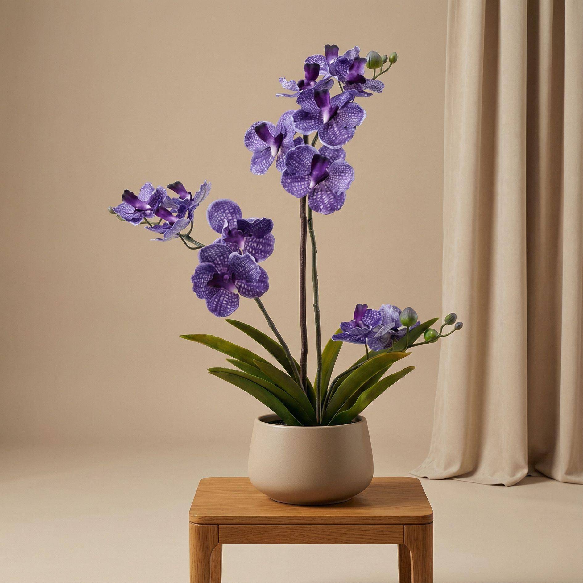 PANGIVO - Orchidée artificielle plastique violet 15 x 15 x 60 cm - PANGIVO - Image 5