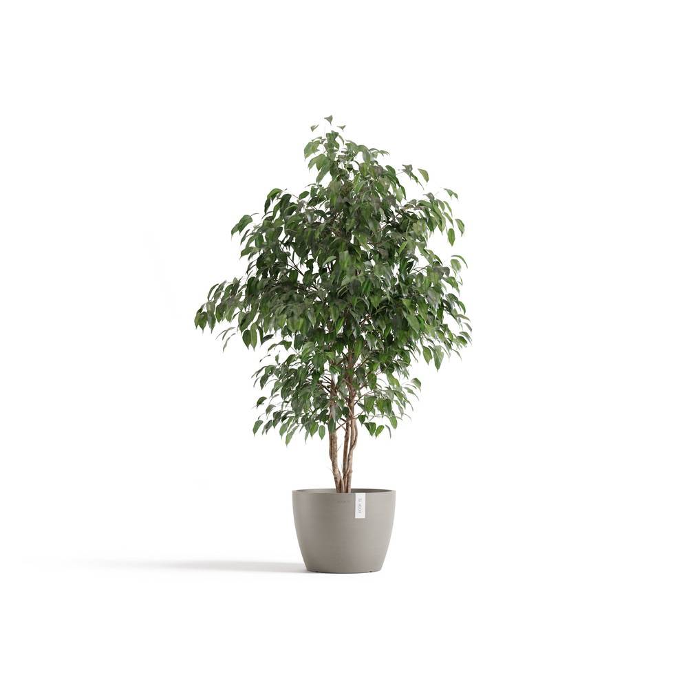 Ecopots - Pot Rond Stockholm 31 Taupe - Ø 31 x H. 23,3 cm - 12,9 L ECOPOTS - Image 1