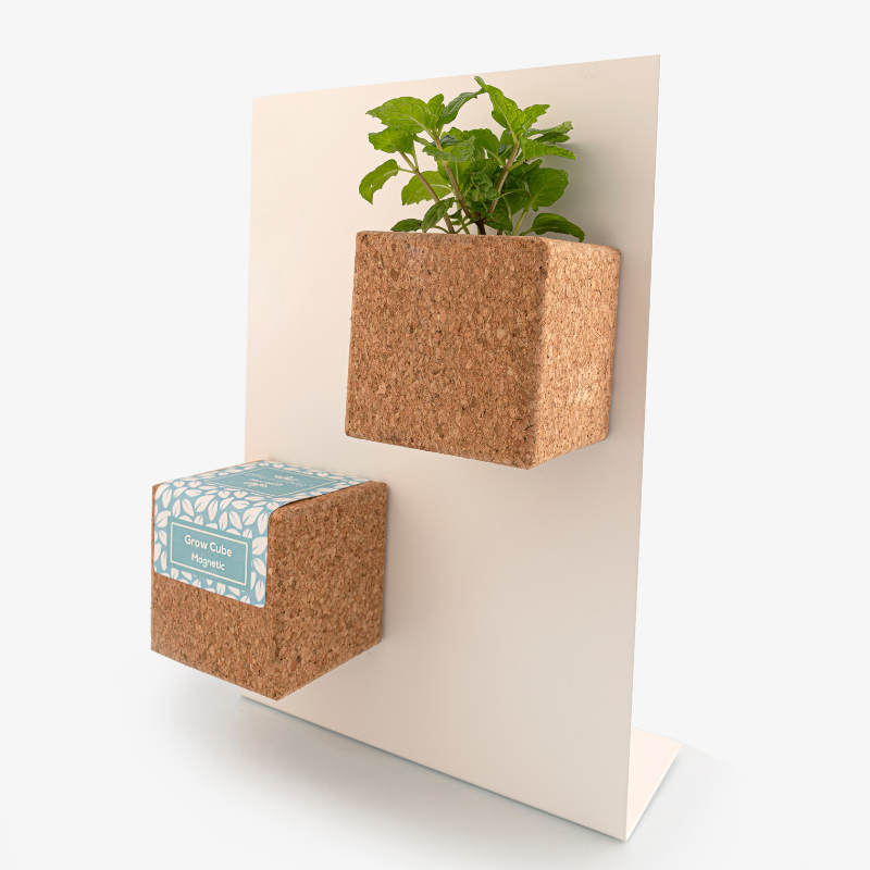 Life In A Bag - Life in a Bag - Grow Cube aimanté Tournesol - Image 3