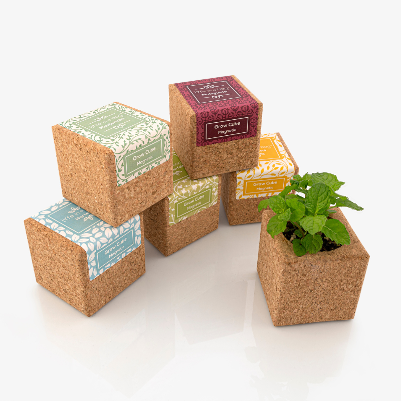 Life In A Bag - Life in a Bag - Grow Cube aimanté Tournesol - Image 4