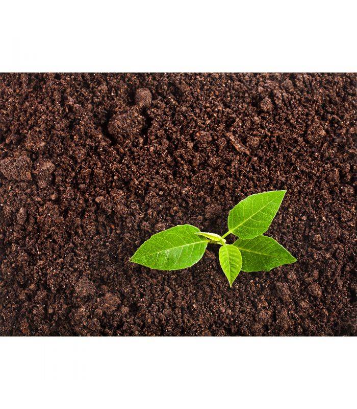 Paillage compost bio d'amendement nutritif 20kg RACINE PRO117 - Image 3