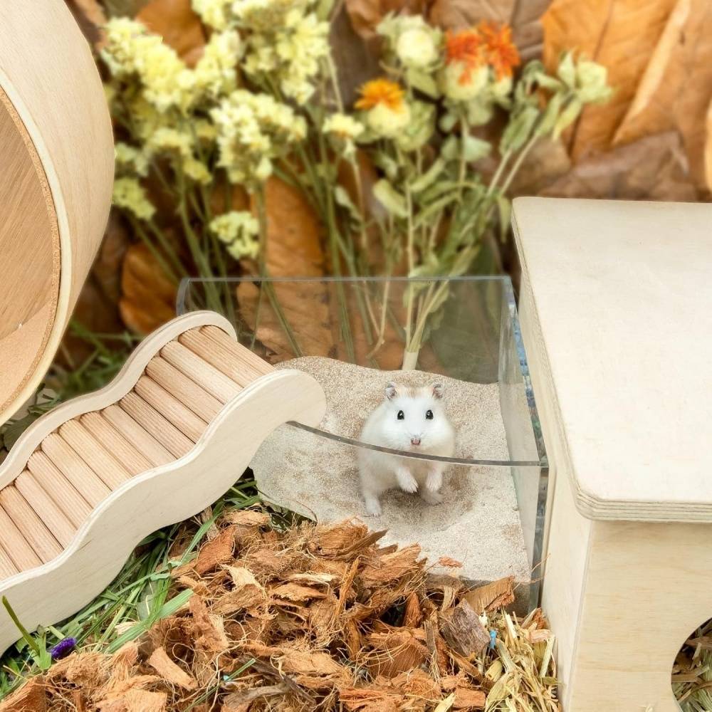 DtopbuyAge - Sable de bain sans poussière pour hamsters DtopbuyAge - Image 5