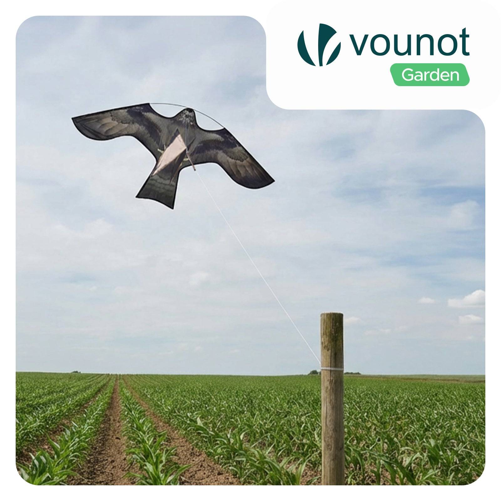 Cerf volant anti oiseaux effaroucheur sans mat Faucon modele F - Image 2