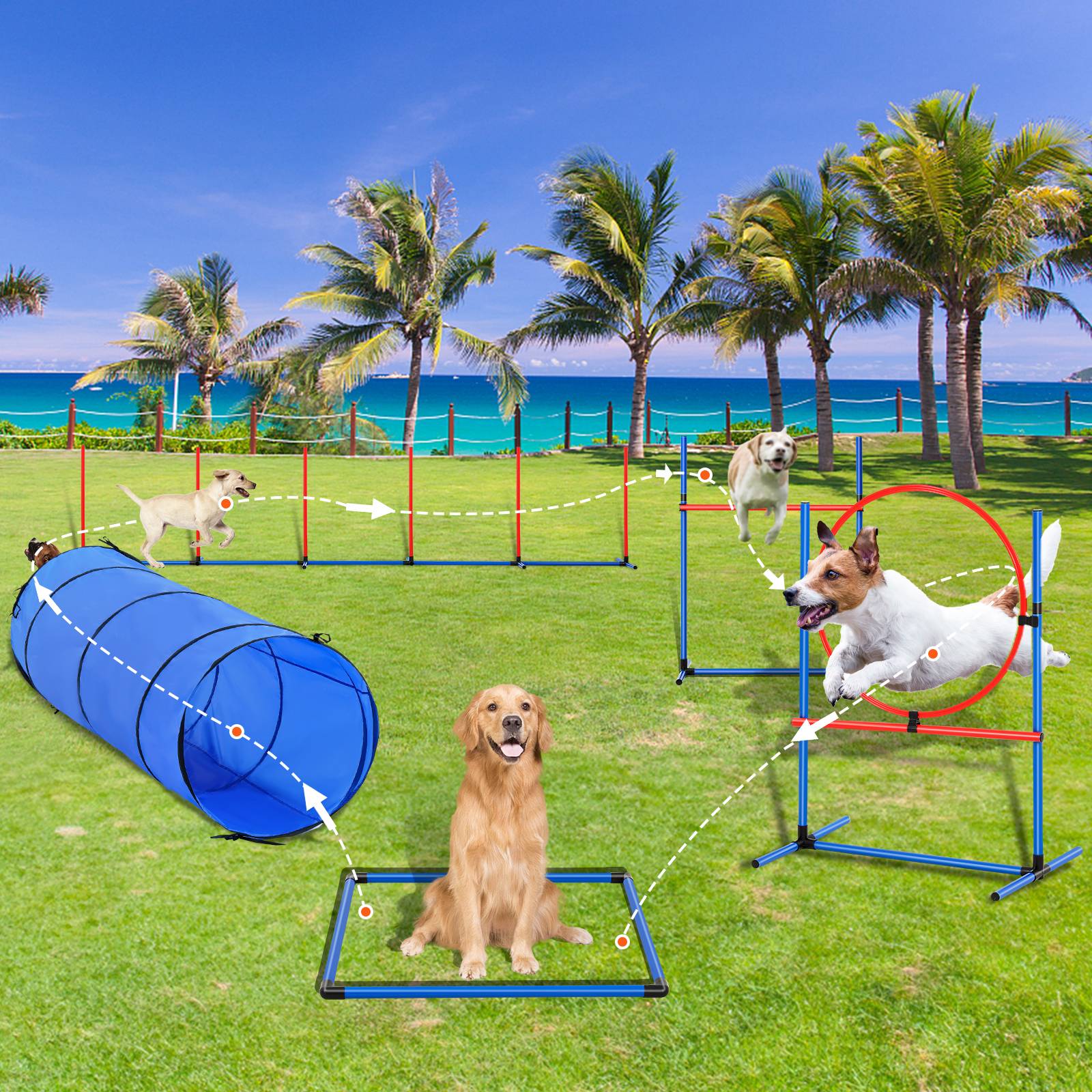 VEVOR Équipements agilité chien, 5 pièces, haies, 6 poteaux, tunnel. Anneau saut, sifflet. - Image 8