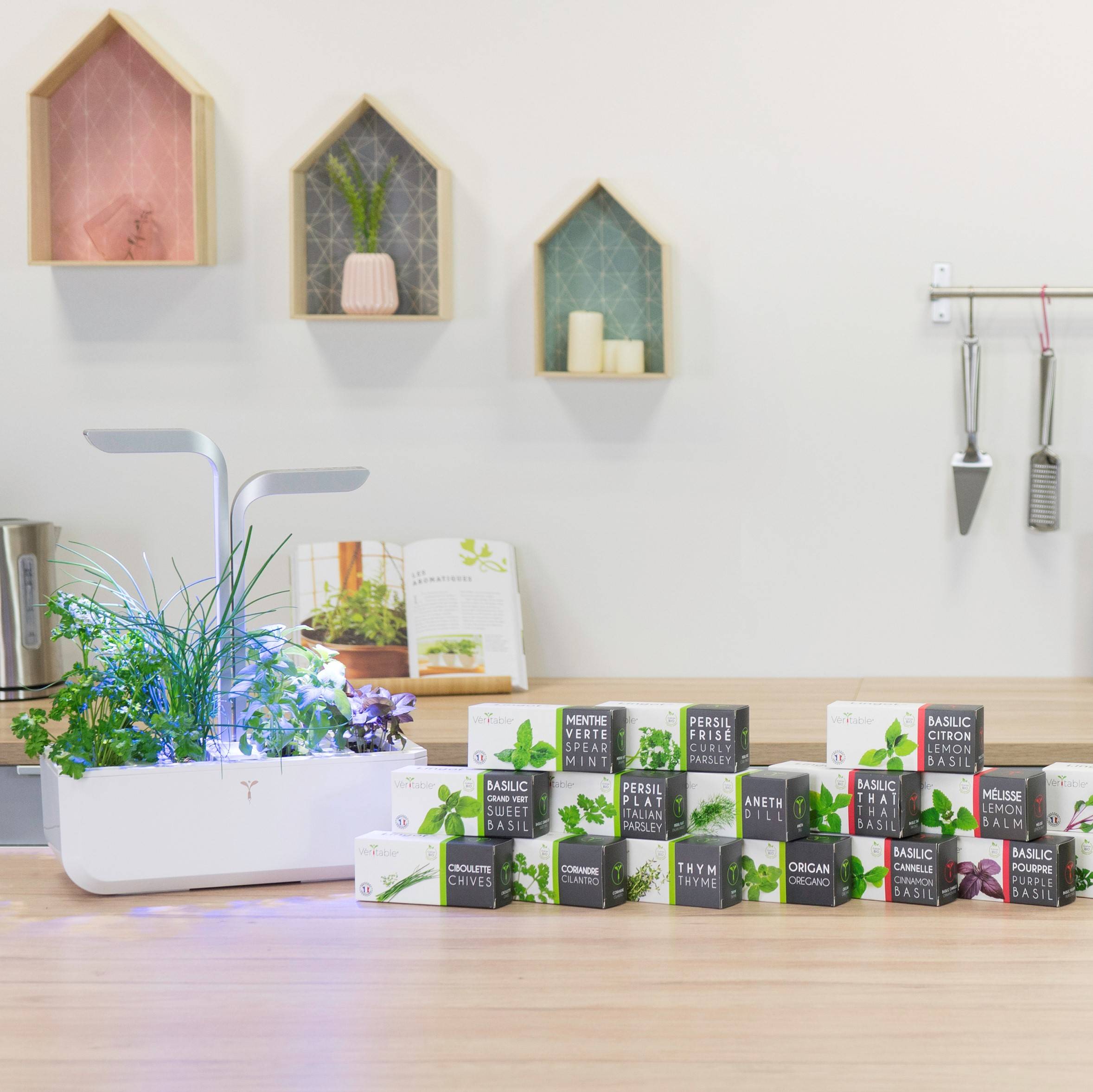 Veritable - Lingot Laitue Batavia BIO - Recharge prête à l'emploi - Véritable - Image 4
