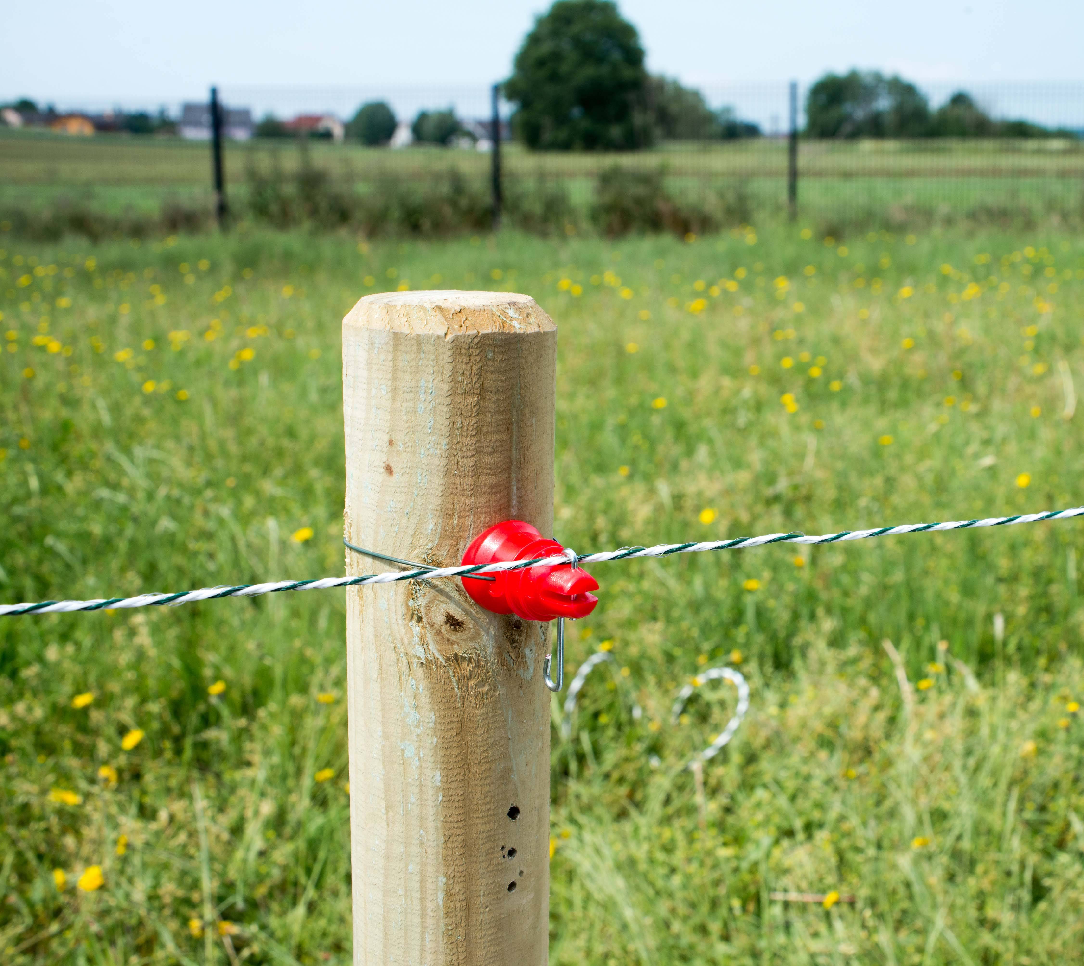 Beaumont - 50 Isolateurs goupille imperdables RBL - Image 2