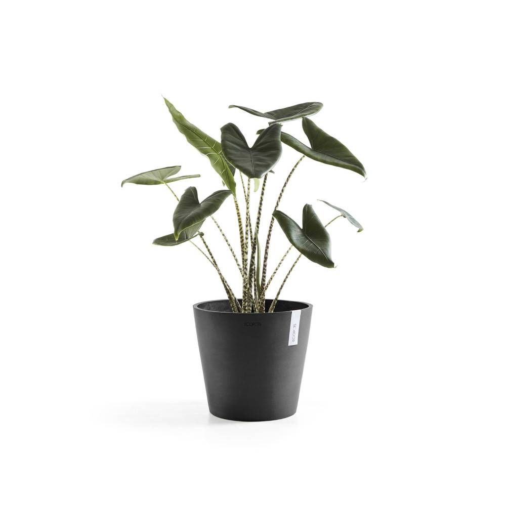 Ecopots - Pot Rond Amsterdam 30 Gris Foncé - Ø 30 x H. 26,3 cm - 12,8 L ECOPOTS - Image 2