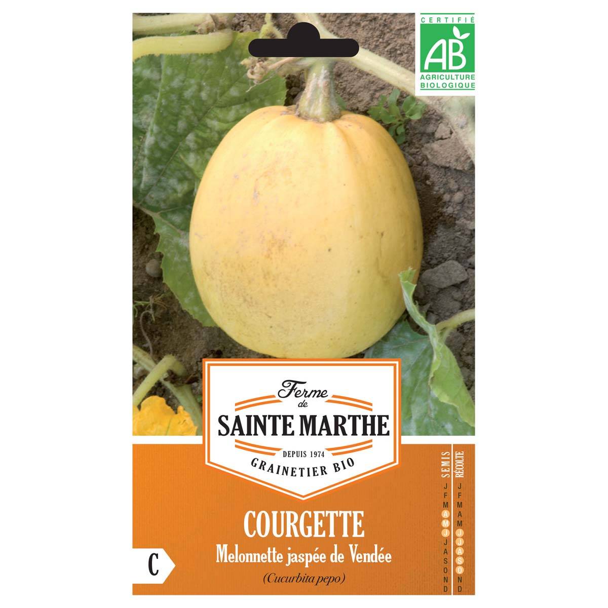 Courge Melonnette Jaspée de Vendée Bio - Ferme de Sainte Marthe le sachet de 10 graines environ (2g)